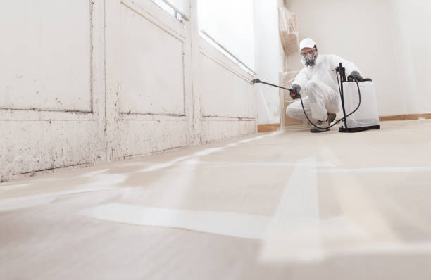 24/7 Emergency Mold Removal experts in Melissa, TX